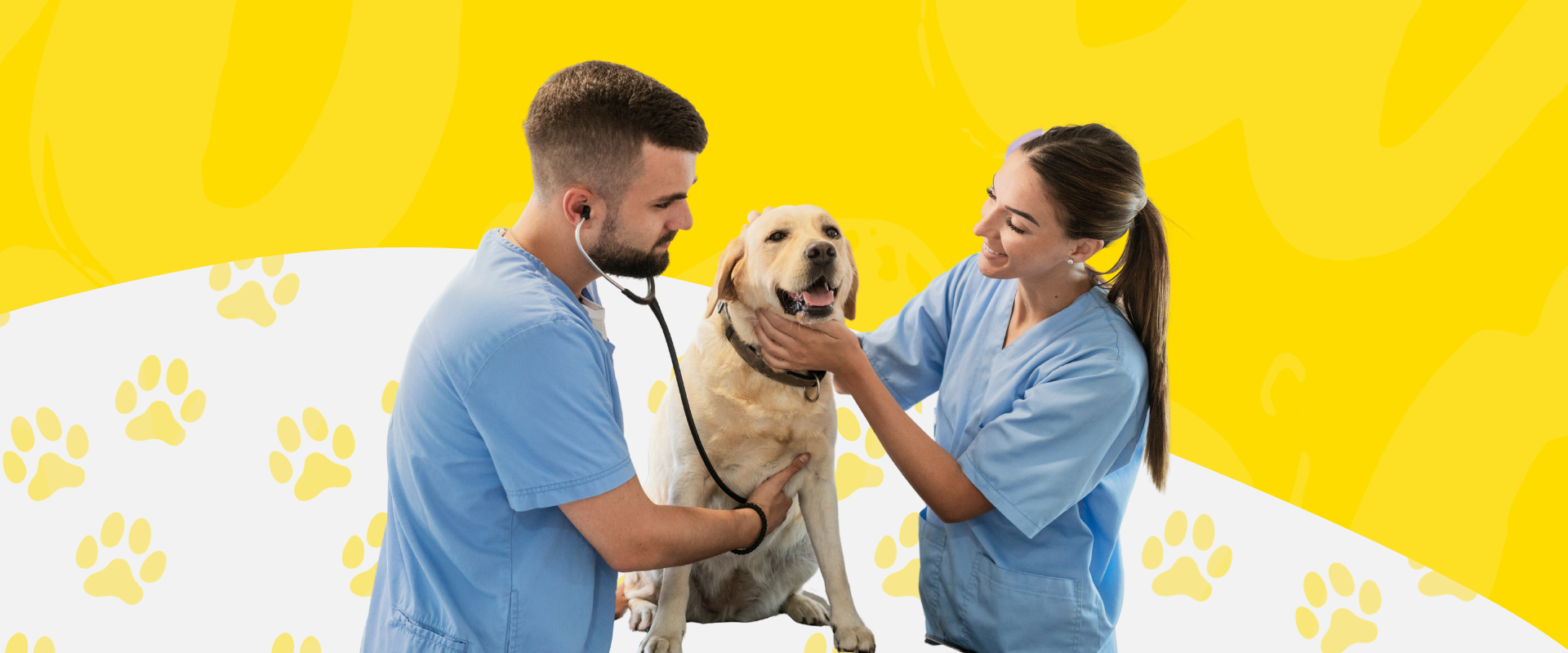 Veterinarios